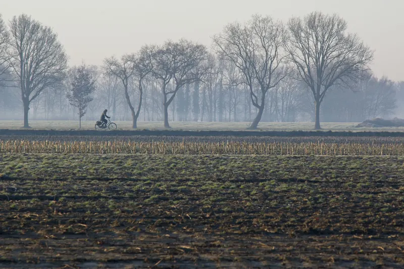 Fietser op een weg door een mistig Noord-Nederlands akkerlandschap met kale bomen