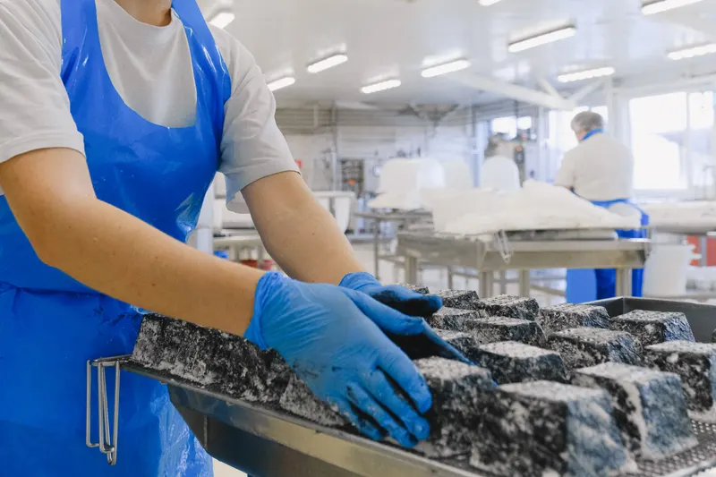 Productiemedewerker met blauwe handschoenen legt kaasblokken op een rek in een voedingsfabriek